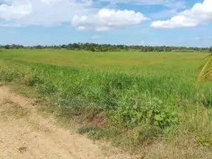 කුඔුරු ඉඩම විකිනිමට කටුවැව