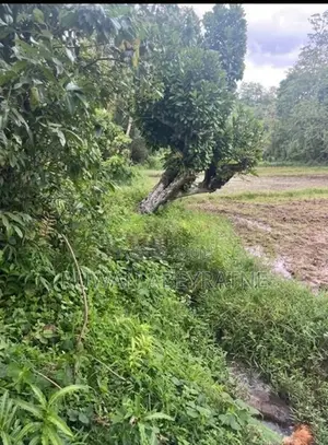 80 Perch Land for Sale - Kathaluwa, Koggala