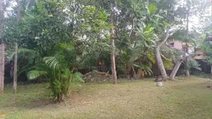House With Land For Sale -Kalutara South