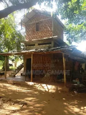කුරුදු සහ පොල් වගා ඉඩම විකිනිමට -හම්බන්තොට