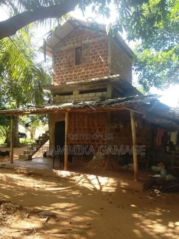 කුරුදු සහ පොල් වගා ඉඩම විකිනිමට -හම්බන්තොට