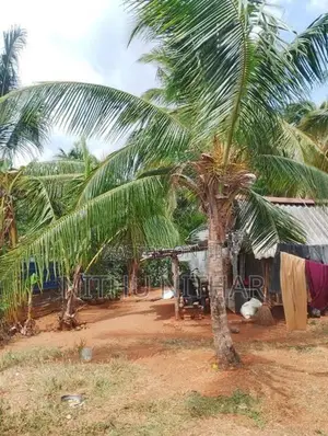 Land with House for Sale Vavuniya