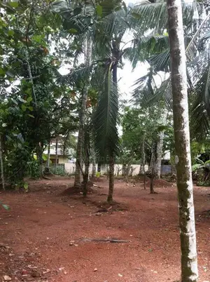 52 P Land with Old House Homagama Pitipana Rd