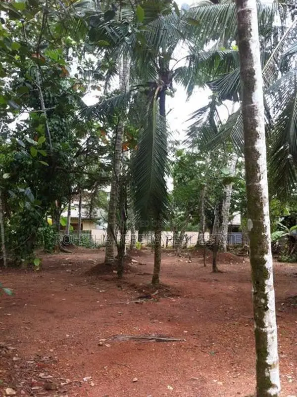 52 P Land with Old House Homagama Pitipana Rd