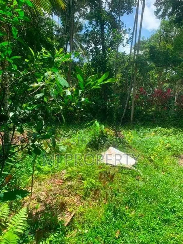 ( IS-1199) Valuable Residential Bare Land Sale in Homagama