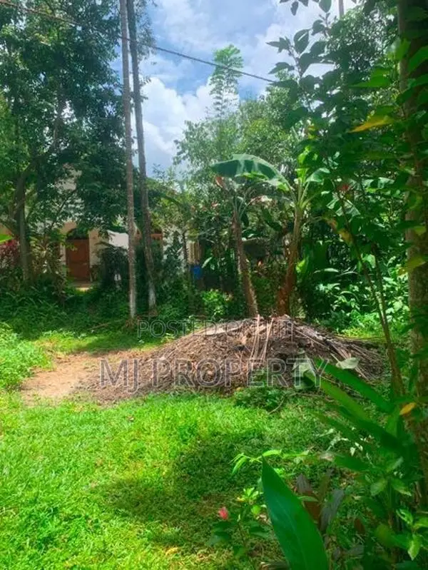 ( IS-1199) Valuable Residential Bare Land Sale in Homagama
