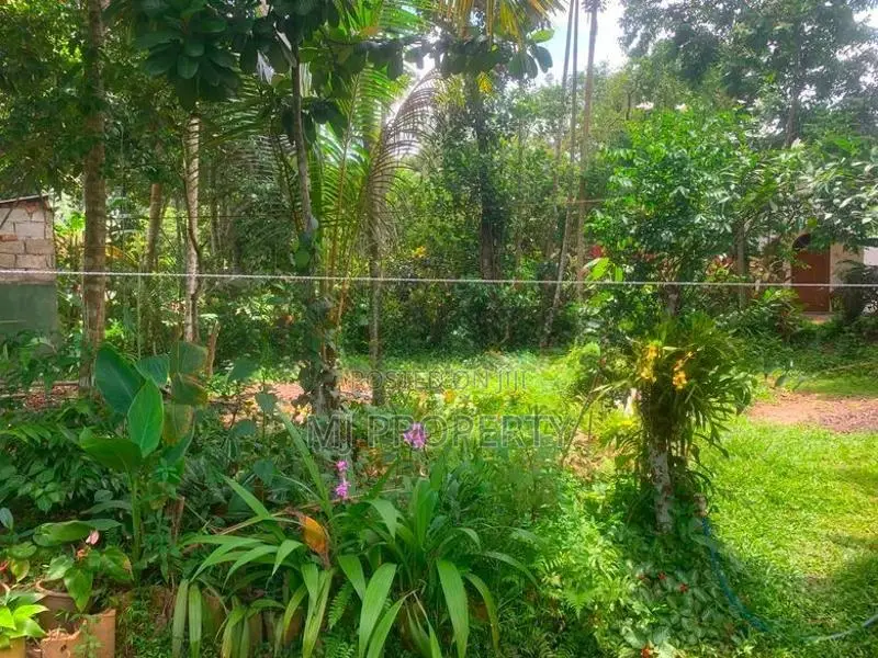 ( IS-1199) Valuable Residential Bare Land Sale in Homagama