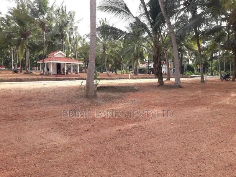 පදිංචියට ඉඩමක් බලල්ල