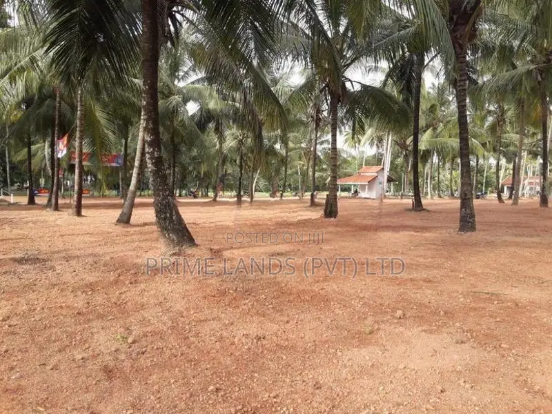පදිංචියට ඉඩමක් බලල්ල