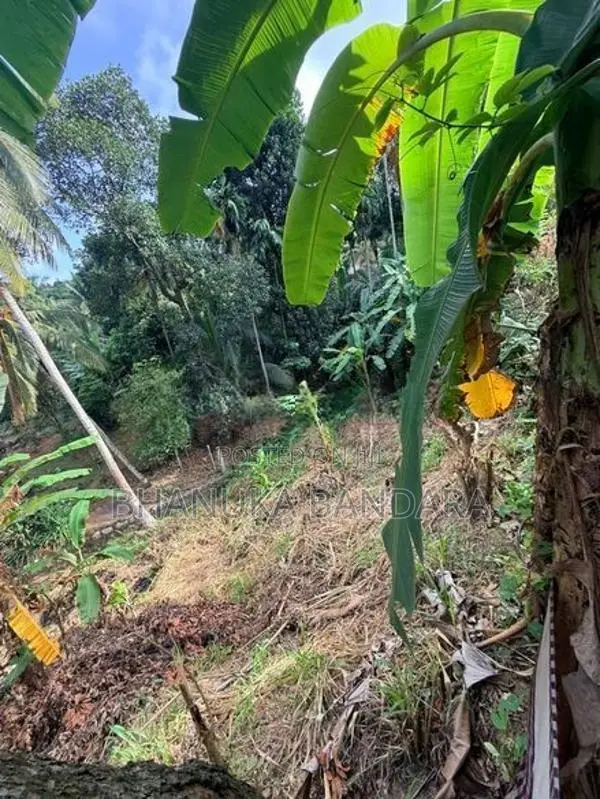 Prime Residential Land for Sale Kegalle Town