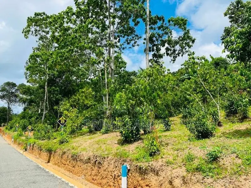 අම්බලන්ගොඩින් බිම් කොටස් විකිණීමට