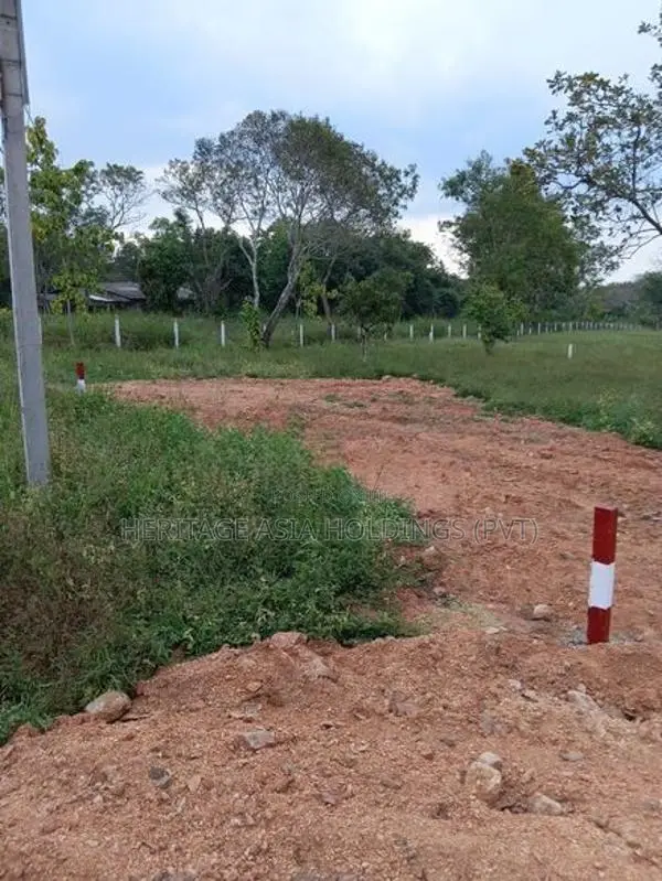 Land for Sale in Perimiyankulam
