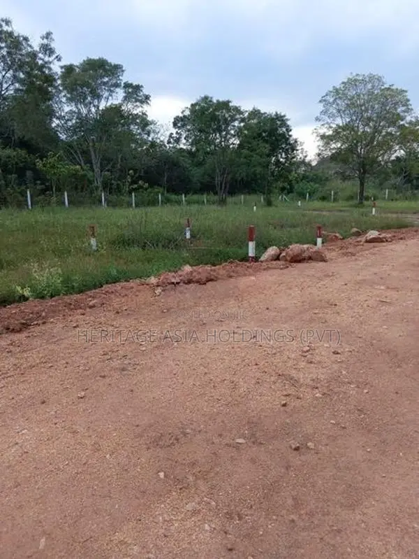 Land for Sale in Perimiyankulam