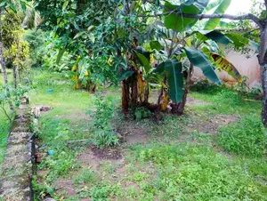 Premium Residential Plot in Arawwala - Pannipitiya