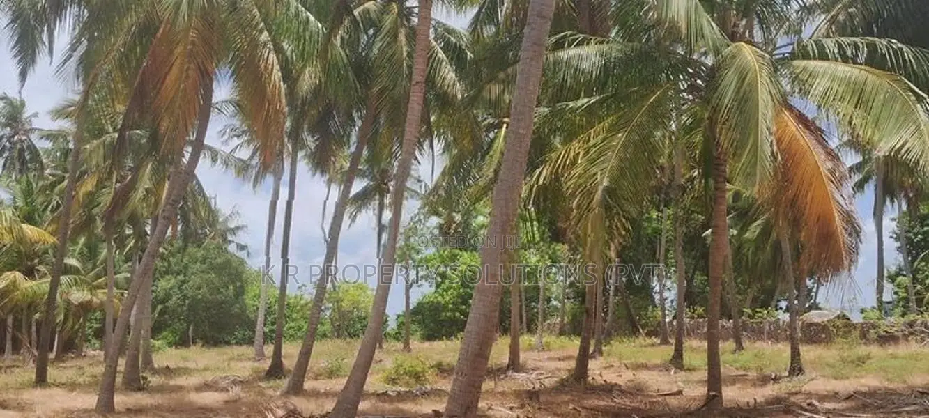 Land for sale on Kalpitiya palaviya main Rd