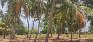 Land for sale on Kalpitiya palaviya main Rd