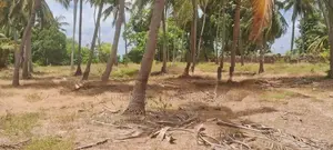 Land for sale on Kalpitiya palaviya main Rd