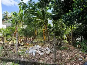 Prime 19.8 Perches in Thalawathugoda