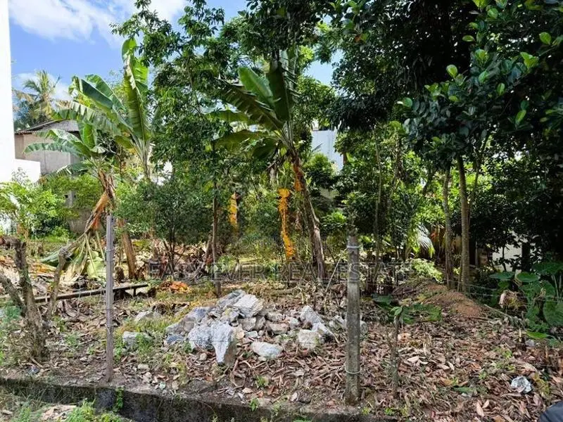 Prime 19.8 Perches in Thalawathugoda
