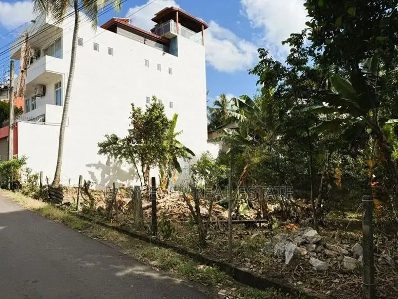 Prime 19.8 Perches in Thalawathugoda