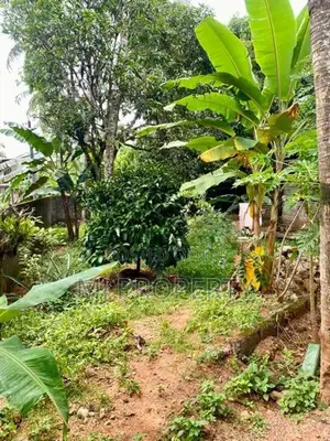 ( IS-1104) Valuable Residential Bare Land Sale in Homagama