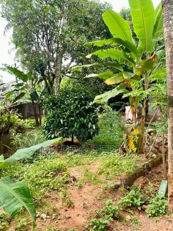 ( IS-1104) Valuable Residential Bare Land Sale in Homagama