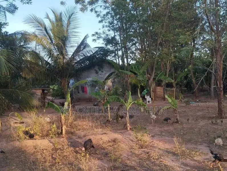 வீட்டுடன் காணி விற்பனைக்கு