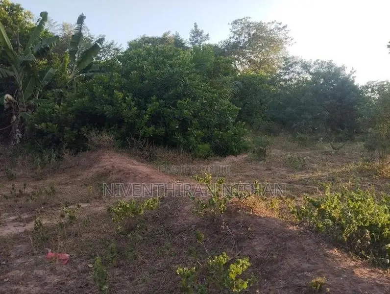 வீட்டுடன் காணி விற்பனைக்கு