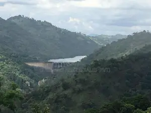 Premium Land for Sale in Digana, Kandy | 280–285 Perches