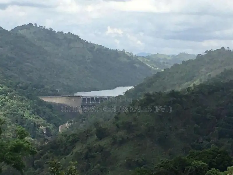 Premium Land for Sale in Digana, Kandy | 280–285 Perches