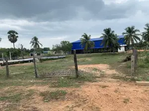 This Land Is Suitable For Business With Residents In Kinniya