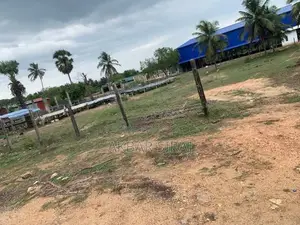 This Land Is Suitable For Business With Residents In Kinniya