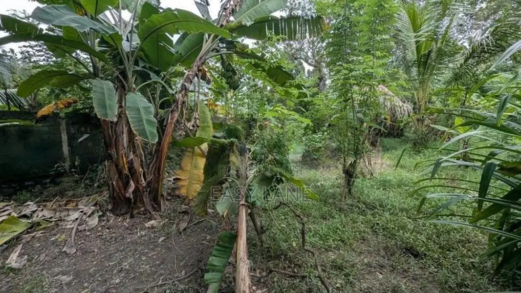 ගම්පහ – ඉඳිගොල්ලෙන් වටිනා බිම් කොටසක් විකිණීමට