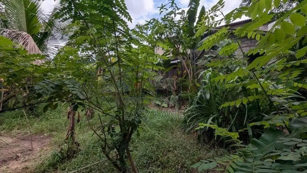 ගම්පහ – ඉඳිගොල්ලෙන් වටිනා බිම් කොටසක් විකිණීමට