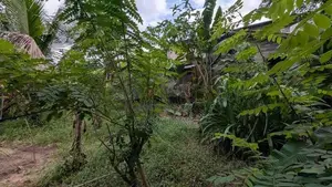 ගම්පහ – ඉඳිගොල්ලෙන් වටිනා බිම් කොටසක් විකිණීමට