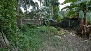 ගම්පහ – ඉඳිගොල්ලෙන් වටිනා බිම් කොටසක් විකිණීමට