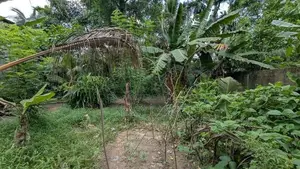 ගම්පහ – ඉඳිගොල්ලෙන් වටිනා බිම් කොටසක් විකිණීමට