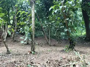 Land for Sale in Wattegama