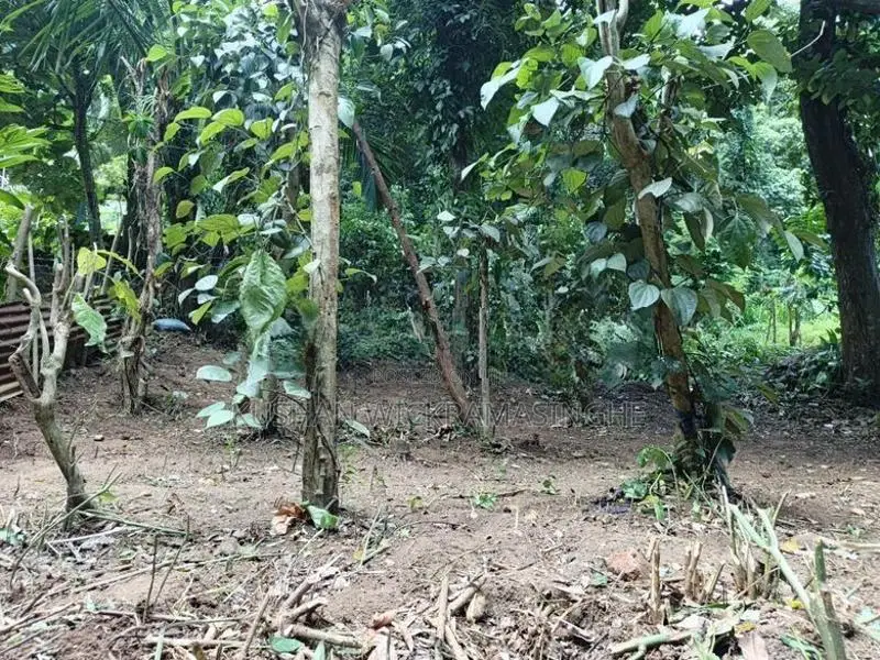 Land for Sale in Wattegama