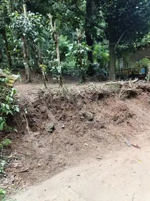 Land for Sale in Wattegama