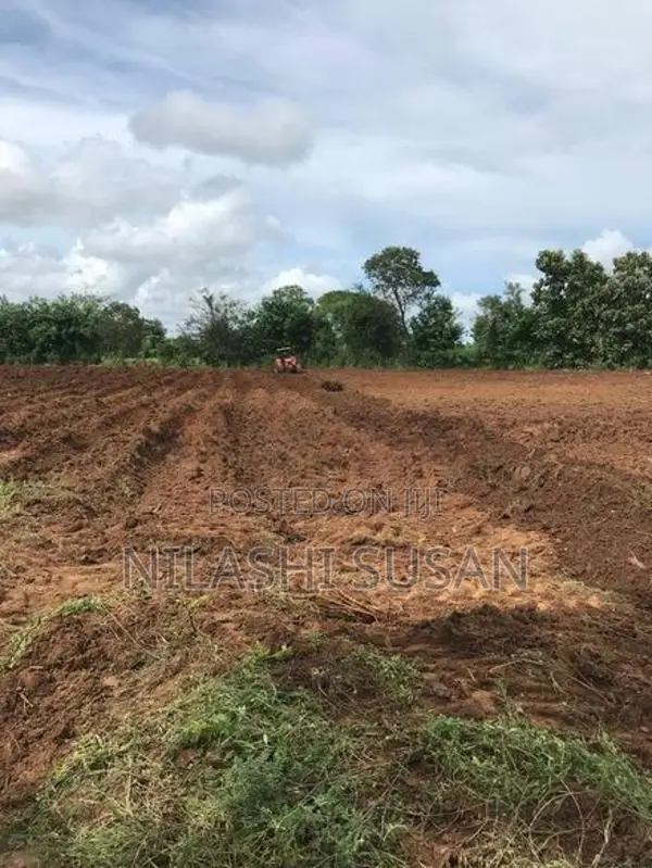 Land For Sale Buttala