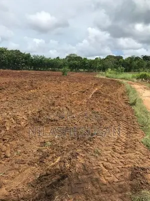 Land For Sale Buttala