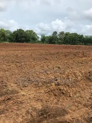 Land For Sale Buttala