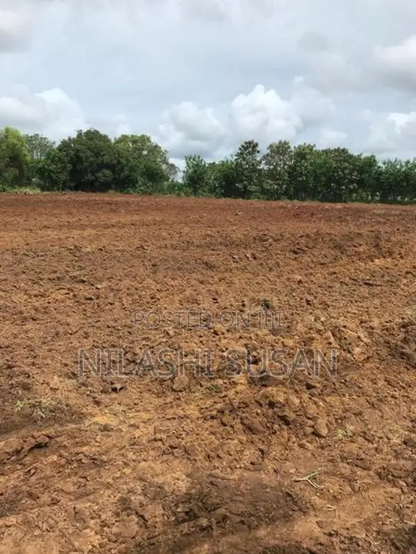 Land For Sale Buttala