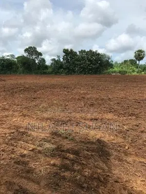 Land For Sale Buttala