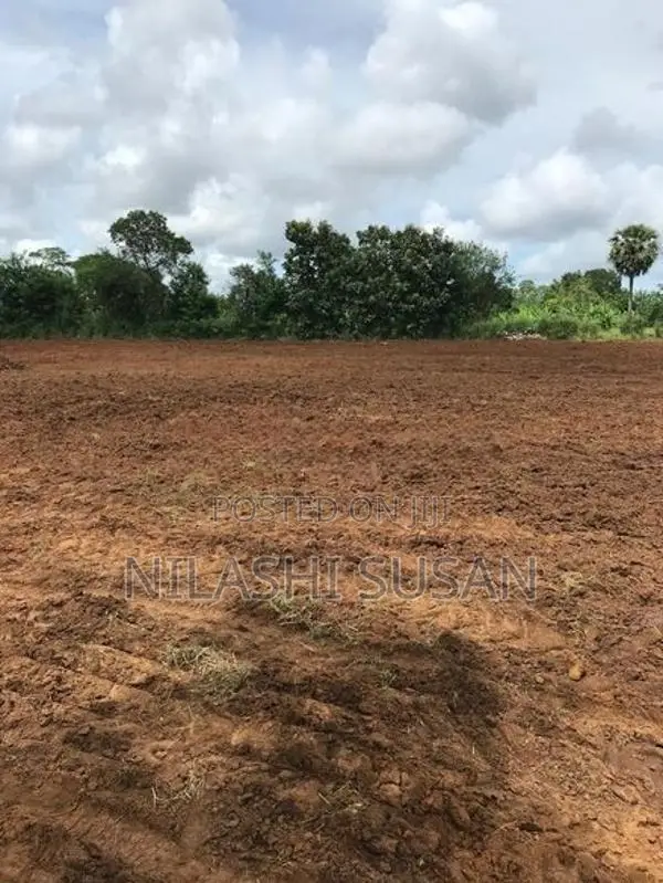 Land For Sale Buttala