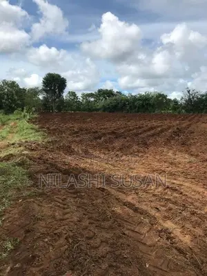 Land For Sale Buttala