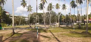 කුරුණෑගල ටවුමට ළගින් පදිංචියට ඉඩමක්