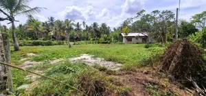 Land For Sale In Kuliyapitiya
