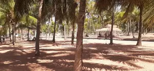 කුරුණෑගල අනුරාධපුර පාරට මුහුණලා ඉඩමක්
